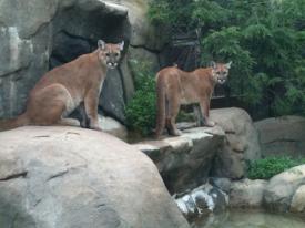 On the Map - Asheville, NC - Episode 2